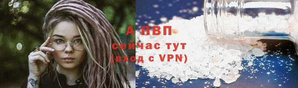 гашик Белокуриха