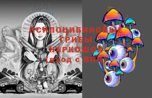 ПСИЛОЦИБИНОВЫЕ ГРИБЫ Беломорск