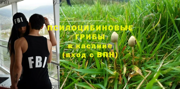 а пвп мука Кодинск
