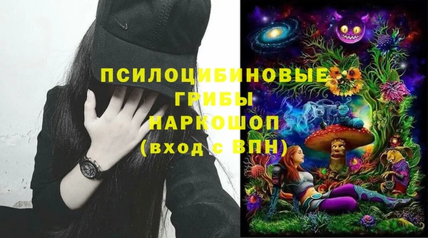 ПСИЛОЦИБИНОВЫЕ ГРИБЫ Беломорск