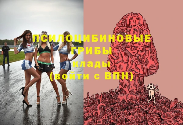 ПСИЛОЦИБИНОВЫЕ ГРИБЫ Беломорск