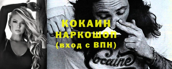 гашик Белокуриха