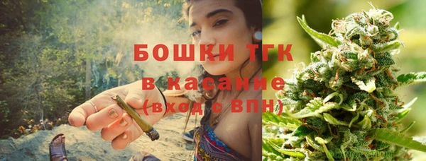 стаф Козельск